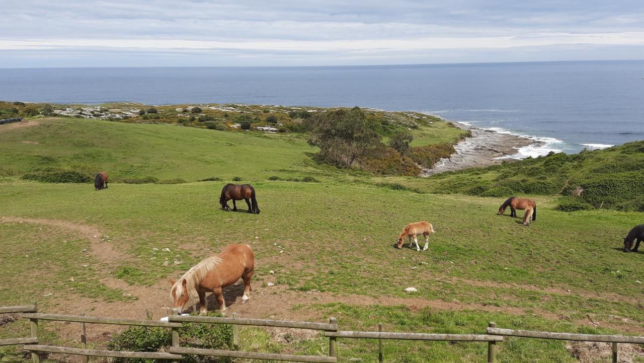 Posada Punta Linera San Vicente De La Barquera Ngoại thất bức ảnh
