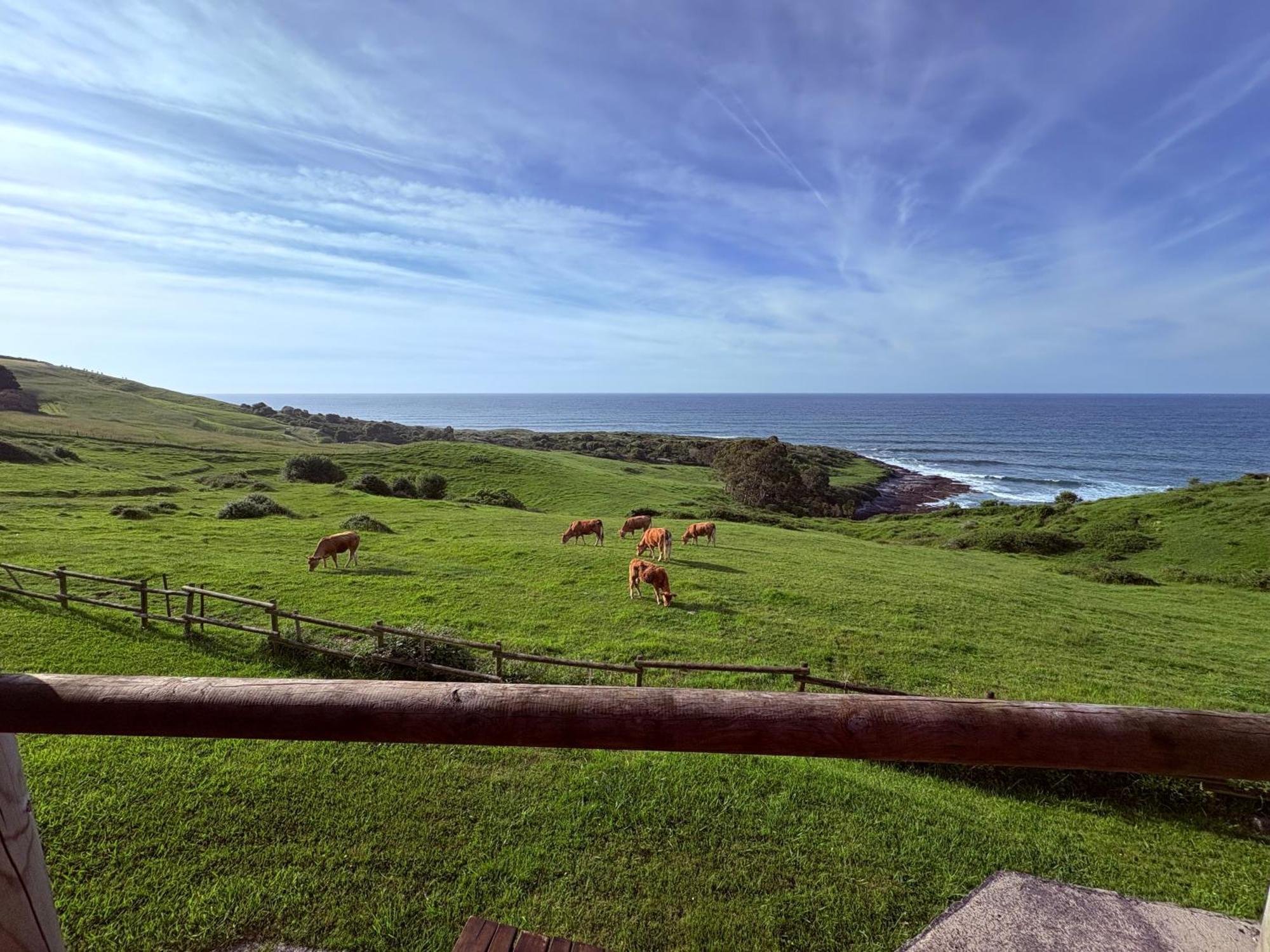 Posada Punta Linera San Vicente De La Barquera Ngoại thất bức ảnh