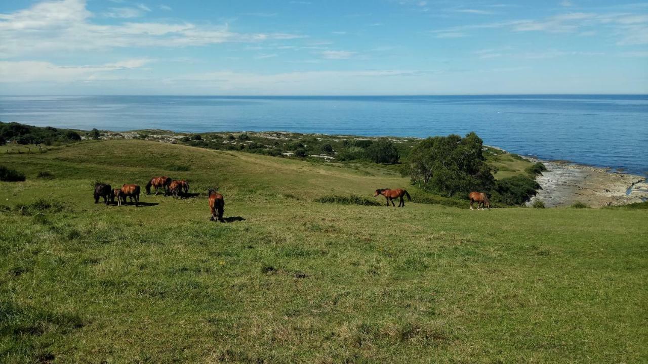 Posada Punta Linera San Vicente De La Barquera Ngoại thất bức ảnh